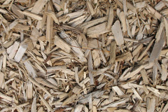 biomass boilers South Clifton